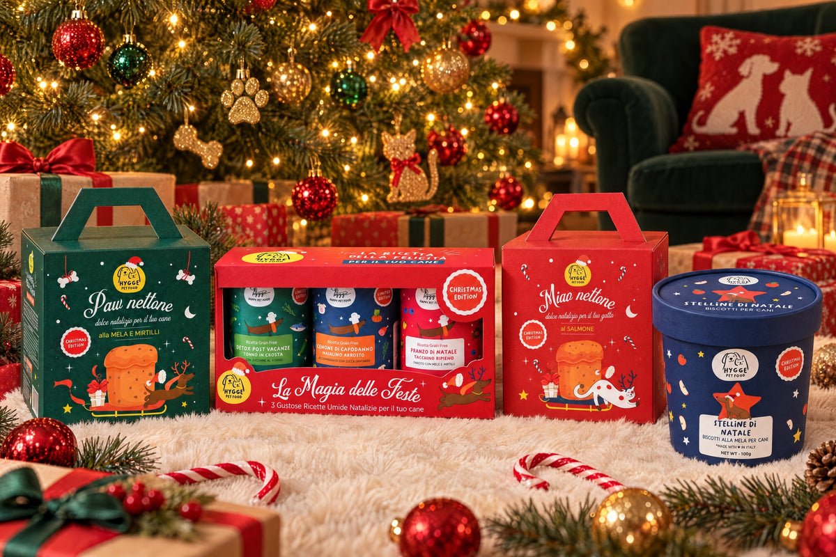 Miao nettone e la linea di Natale Hygge Pet Food sotto l'albero