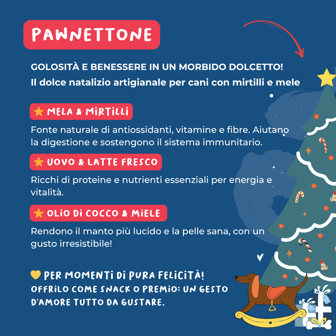 Paw nettone con mela e mirtilli - Snack e Biscotti Cane - Hygge Pet Food