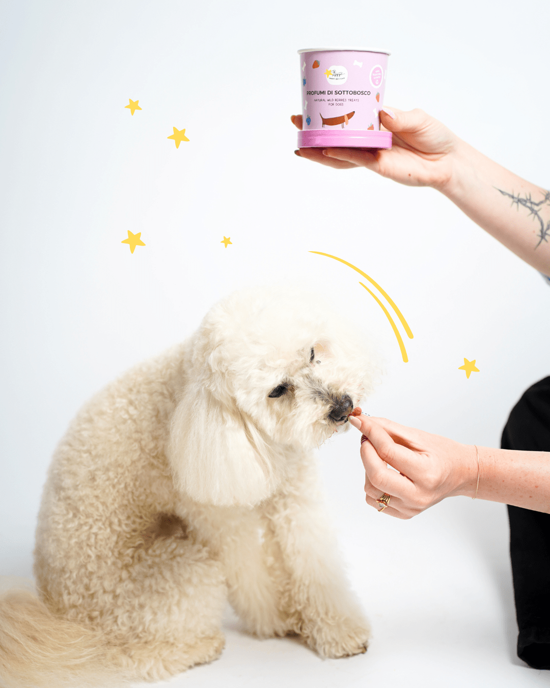 Profumi del Sottobosco - Snack e Biscotti Cane - Hygge Pet Food