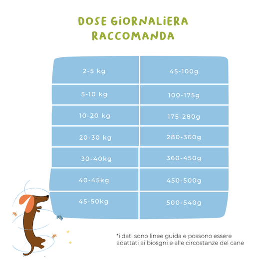 Salmone e Tapioca - Cibo Secco Cane - Hygge Pet Food
