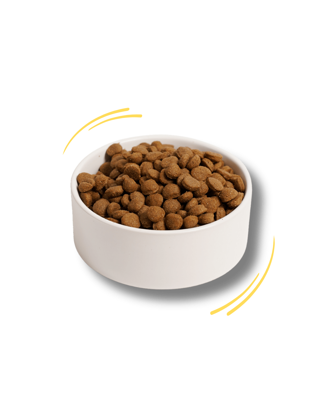 Salmone e Tapioca - Cibo Secco Cane - Hygge Pet Food