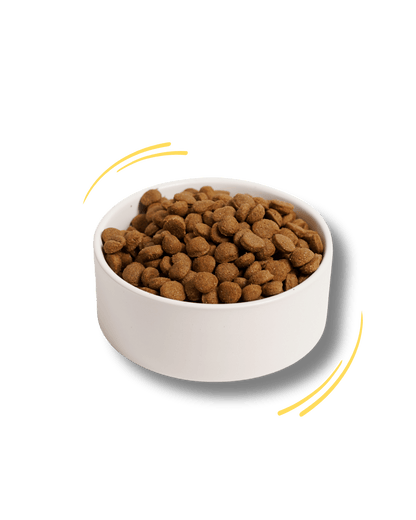 Salmone e Tapioca - Cibo Secco Cane - Hygge Pet Food