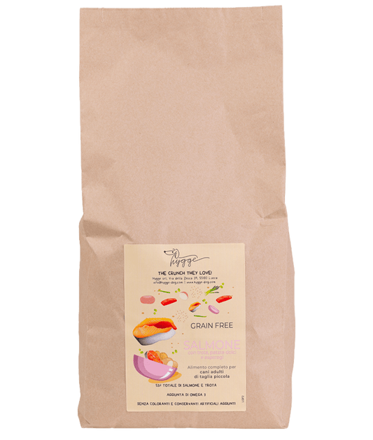 Salmone, Trota, Patate Dolci e Asparagi - Cibo Secco Cane - Hygge Pet Food