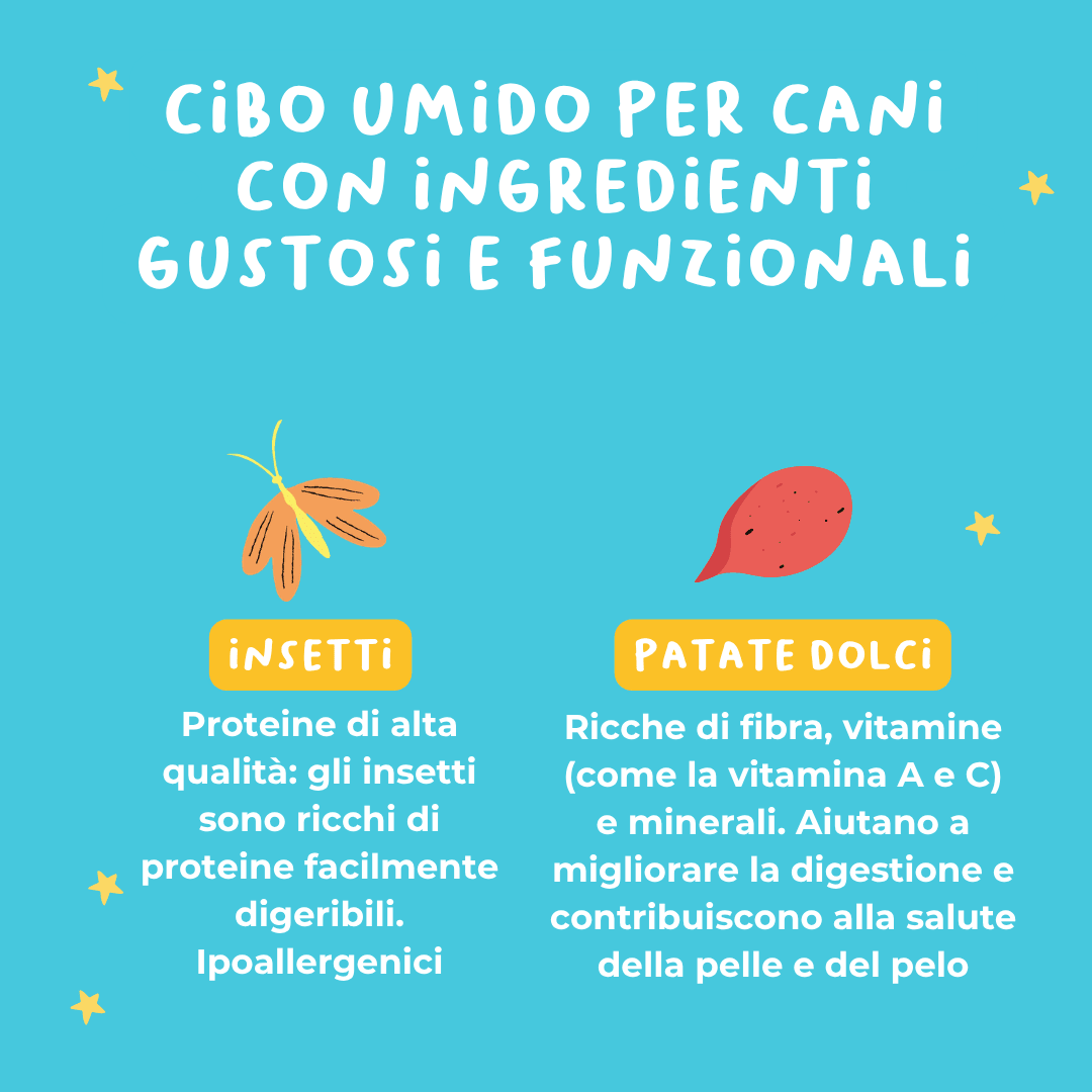 Sensitive Bowl Ricetta a base di proteina di insetto e patate dolci - Cibo Umido Cane - Hygge Pet Food
