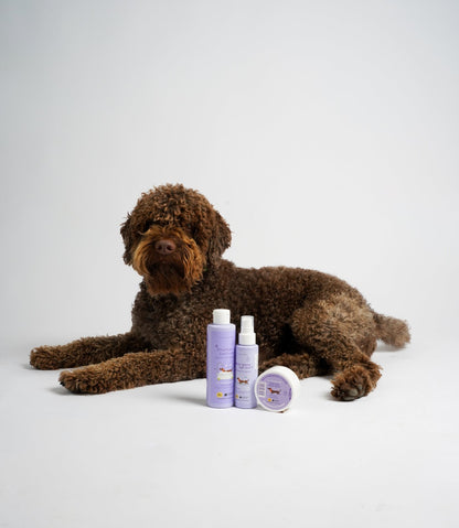 Spray Igiene agli Ioni - cosmetica - Hygge Pet Food