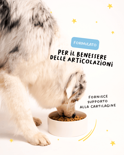 Tacchino, Piselli e Semi Di Lino Senior - Cibo Secco Cane - Hygge Pet Food