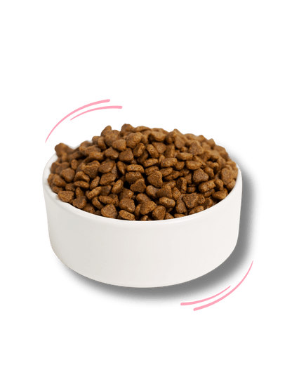 Tacchino, Riso Integrale e Semi Di Lino Puppy - Cibo Secco Cane - Hygge Pet Food