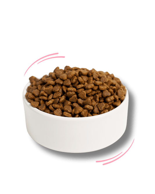 Tacchino, Riso Integrale e Semi Di Lino Puppy - Cibo Secco Cane - Hygge Pet Food