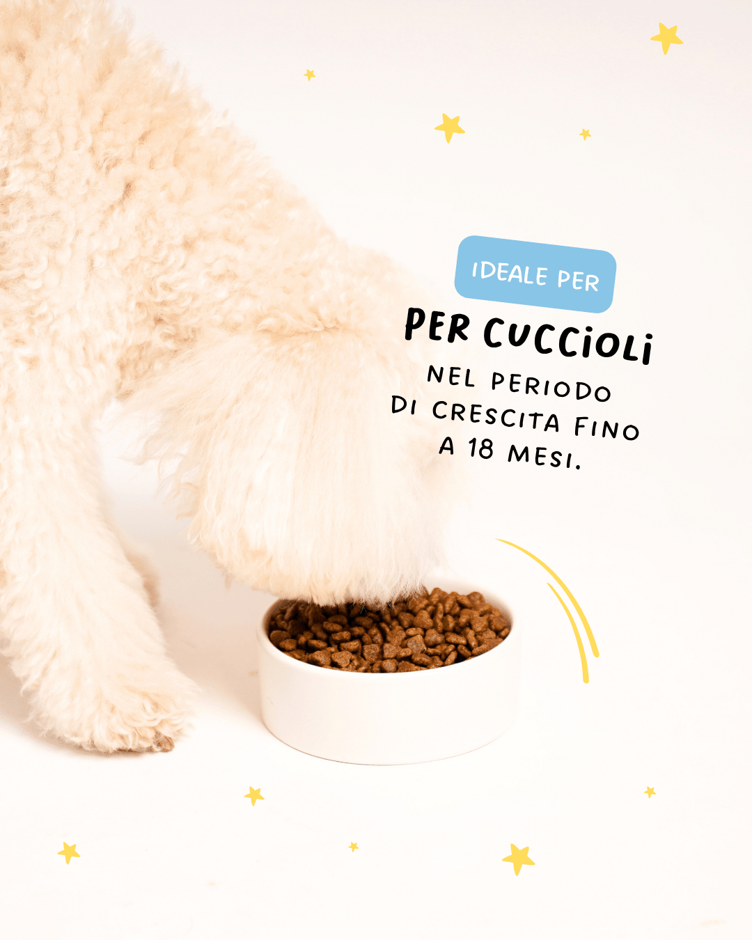 Tacchino, Riso Integrale e Semi Di Lino Puppy - Cibo Secco Cane - Hygge Pet Food