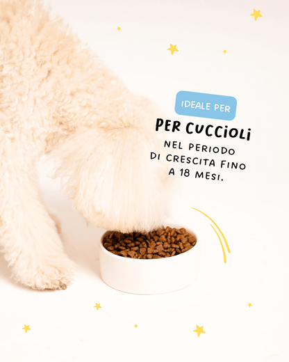 Tacchino, Riso Integrale e Semi Di Lino Puppy - Cibo Secco Cane - Hygge Pet Food
