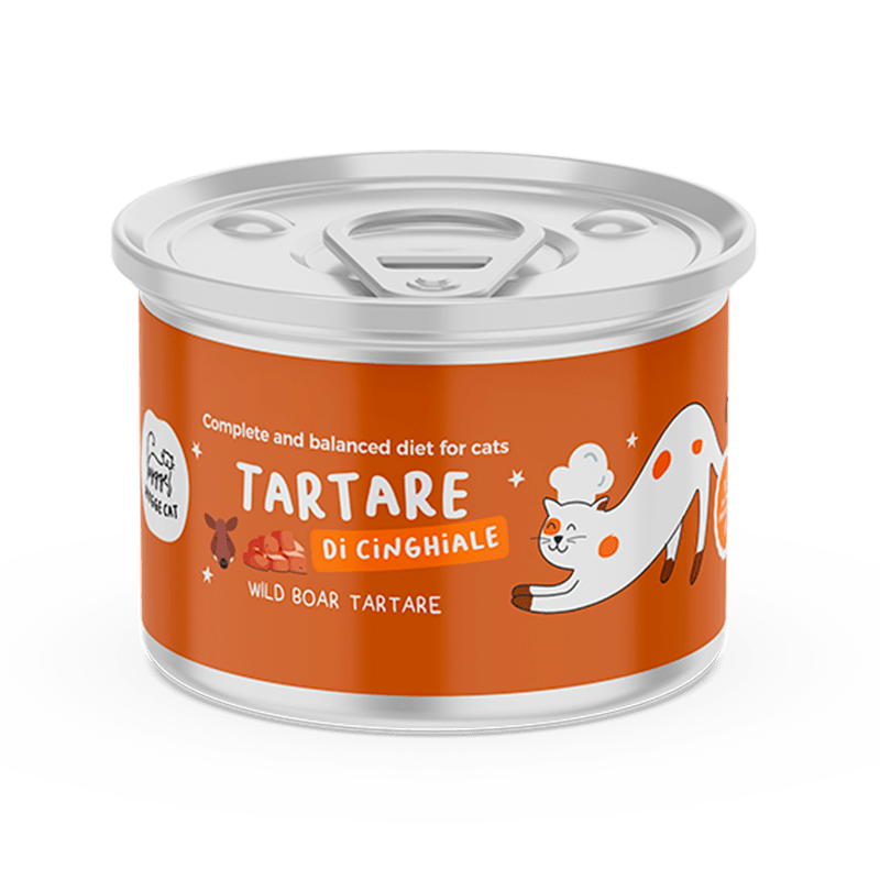 Tartare di Cinghiale