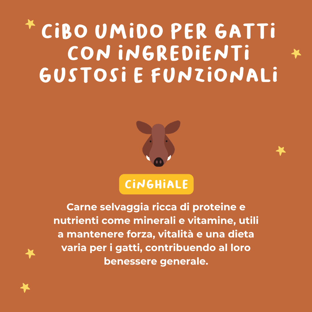 Tartare di Cinghiale Alimento completo per gatti - Cibo Umido Gatto - Hygge Pet Food