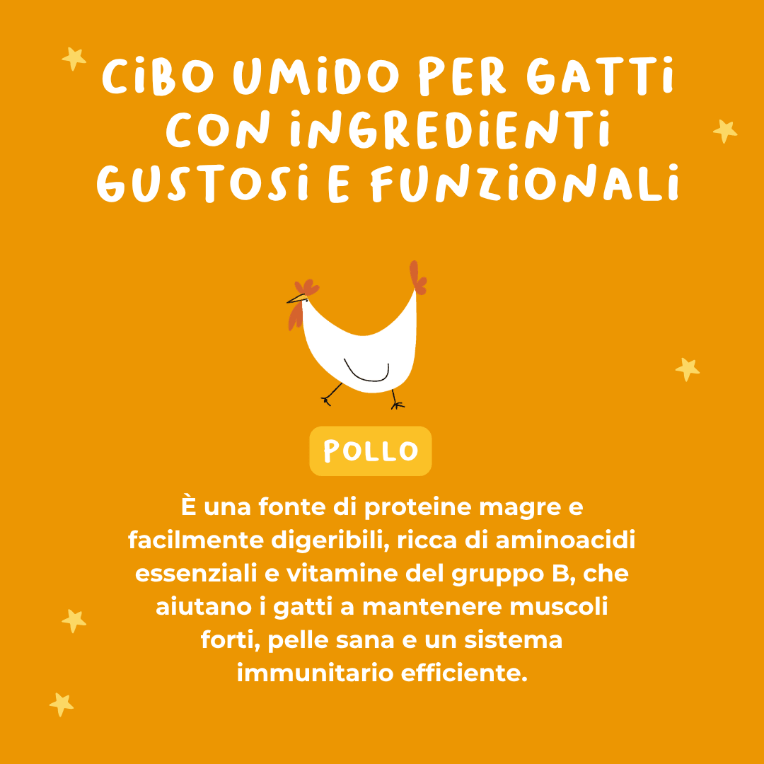 Tartare di Pollo Alimento completo per gatti sterilizzati - Cibo Umido Gatto - Hygge Pet Food