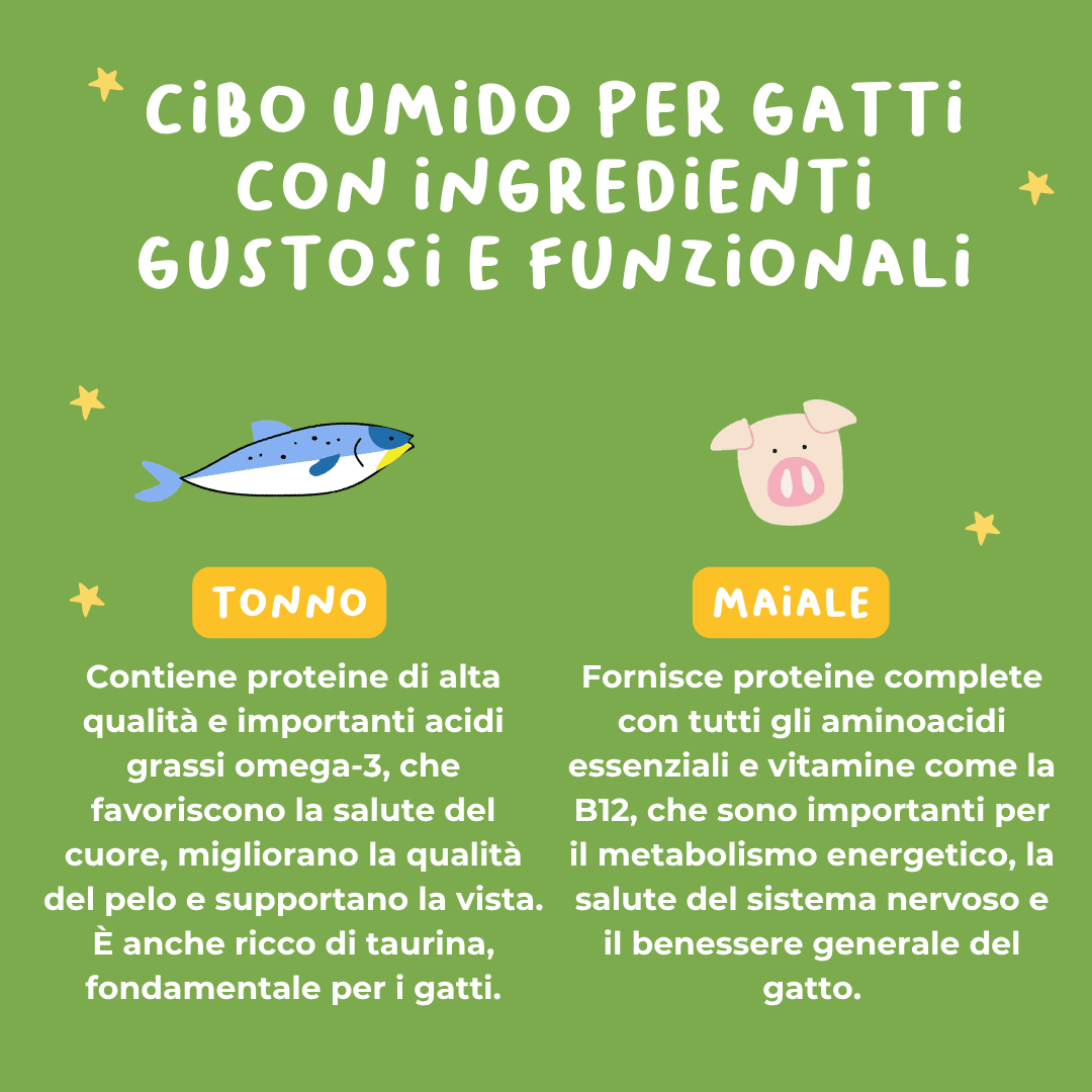 Tartare di Tonno e Maiale Alimento completo per gatti - Cibo Umido Gatto - Hygge Pet Food