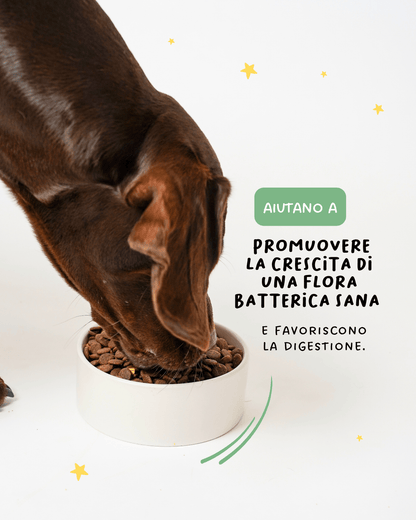 Trota e Mela a Cubetti - Cibo Secco Cane - Hygge Pet Food