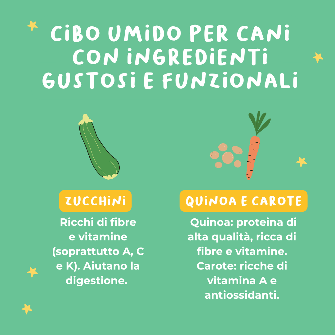 Veggie Bowl Ricetta Grain free vegana a base di quinoa, zucchine e carote - Cibo Umido Cane - Hygge Pet Food