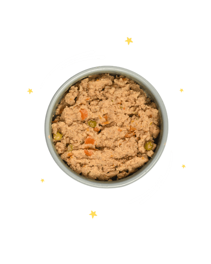 Veggie Bowl Ricetta Grain free vegana a base di quinoa, zucchine e carote - Cibo Umido Cane - Hygge Pet Food
