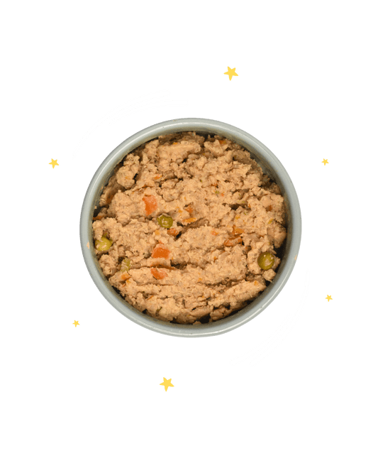 Veggie Bowl Ricetta Grain free vegana a base di quinoa, zucchine e carote - Cibo Umido Cane - Hygge Pet Food