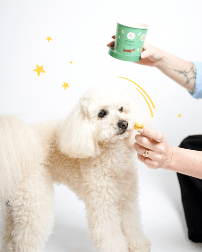 Zuccotti - Snack e Biscotti Cane - Hygge Pet Food