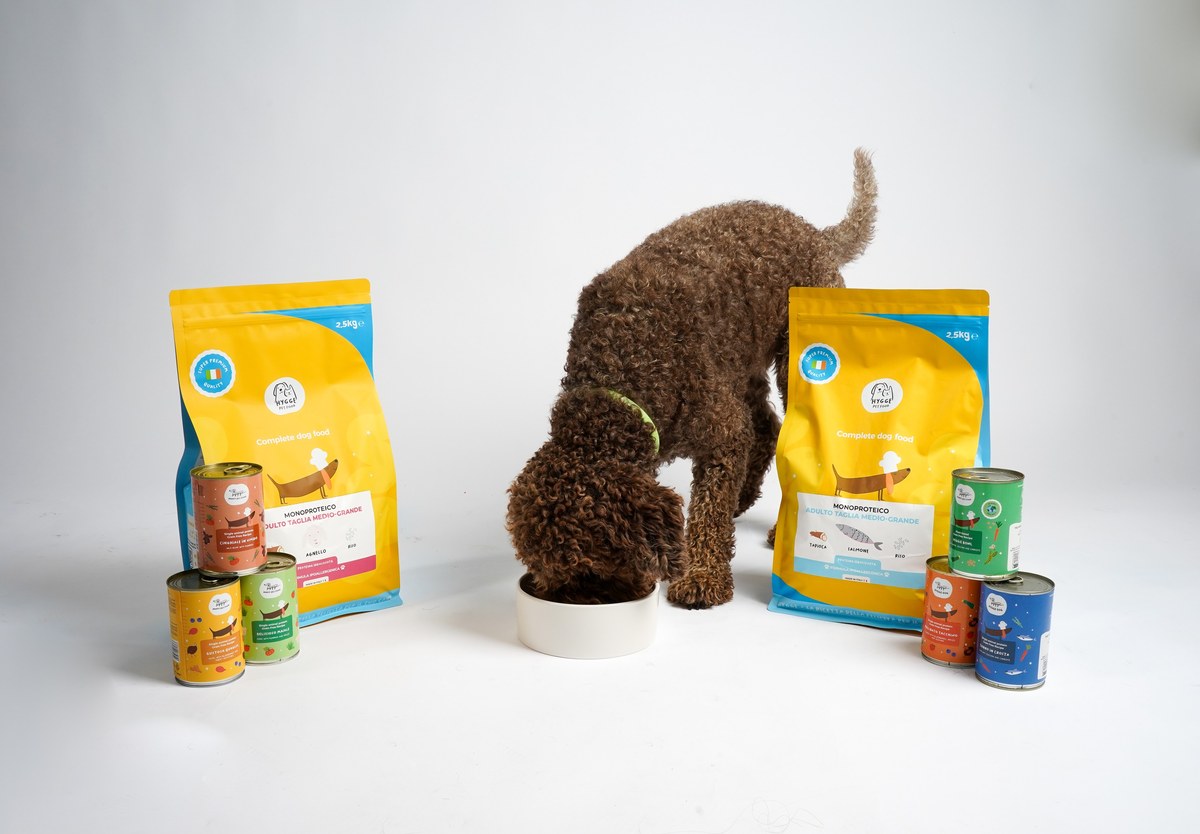 Il tuo cane con tutta la bont&agrave; Hygge